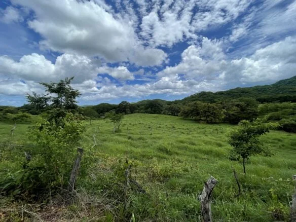 lot in nature