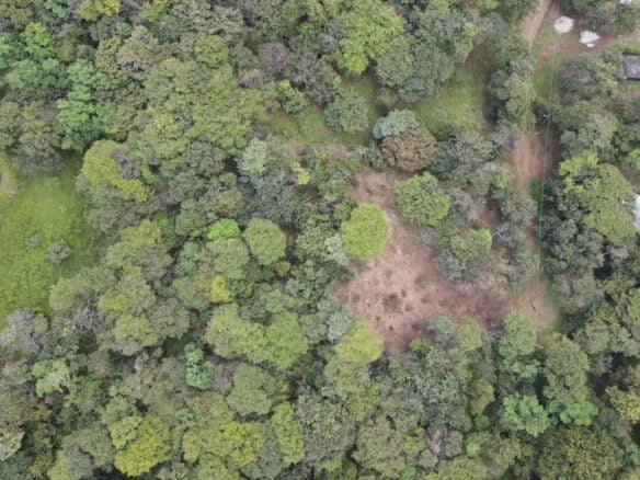 Playa Negra 1.3ac Lot in Rancho Agua Dulce 3