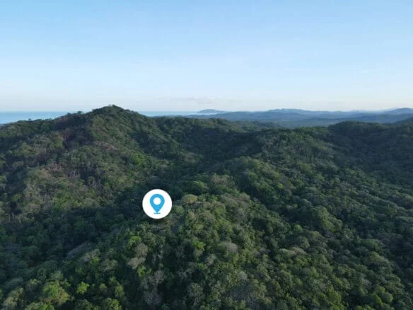 Jungle-Sanctuary
