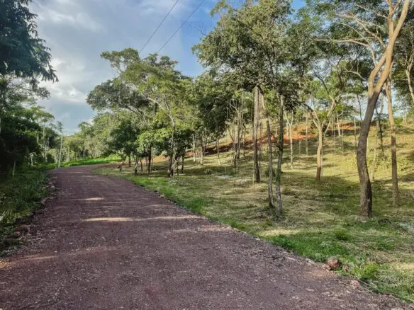 La Flora Development | Perfect investment near playa Tamarindo