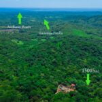 Caña Fistula playa tamarindo