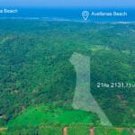 pinilla lot playa avellanas playa tamarindo