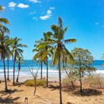 beach front lot playa junquillal