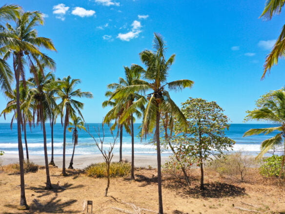 beach front lot playa junquillal