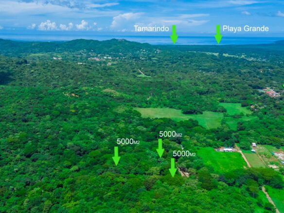 Huge Lots in Santa Rosa