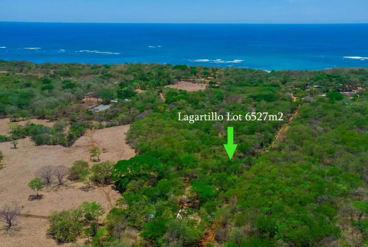 Unspoiled Land | Playa Lagartillo