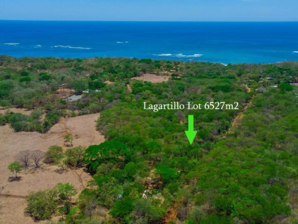 Unspoiled Land play alagartillo