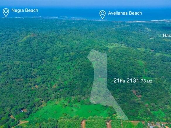 pinilla lot playa avellanas playa tamarindo